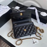 Replica 19CM Iridescent Wallet On Chain WOC AP1450 Bag