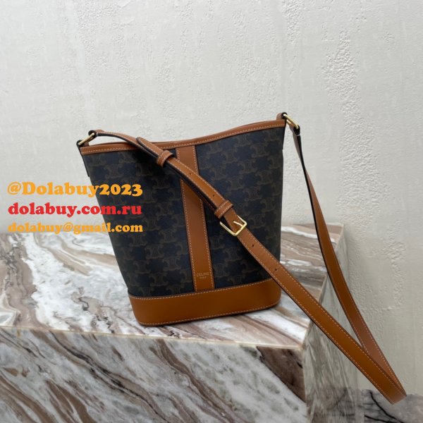 Our Replica Handbags Celine Triomphe Online Dolabuy