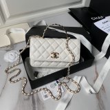 Designer 7 Star Clutch With Chain AP3797 Copy Luxury Bag