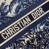 Best Quality Christian Dior Book Tote Bag