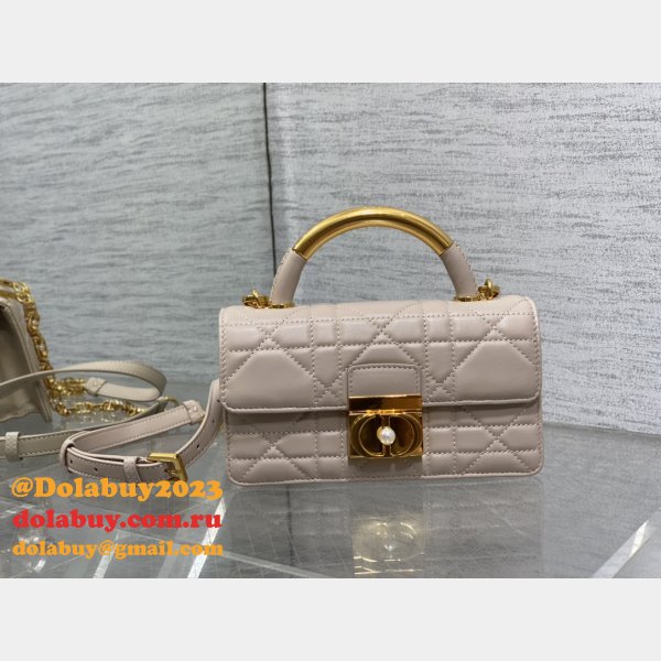 Dior 1:1 Mirror 3112 Anage Chain Handle Replica Bag