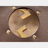 AAA Replica Gucci Blondie Shoulder Dolabuy China 699268 Bag