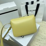 1:1 Replica Celine Triomphe Teen Luxury Handbag