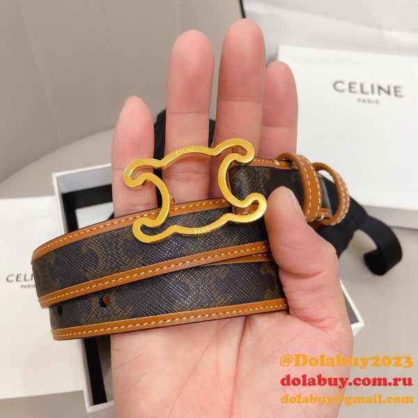 We provide Top Celine AAA+ Belts Sell